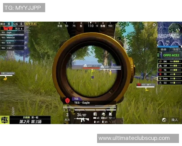 和平精英赛事分析：TES战队在控制方面的优缺点探讨与总结